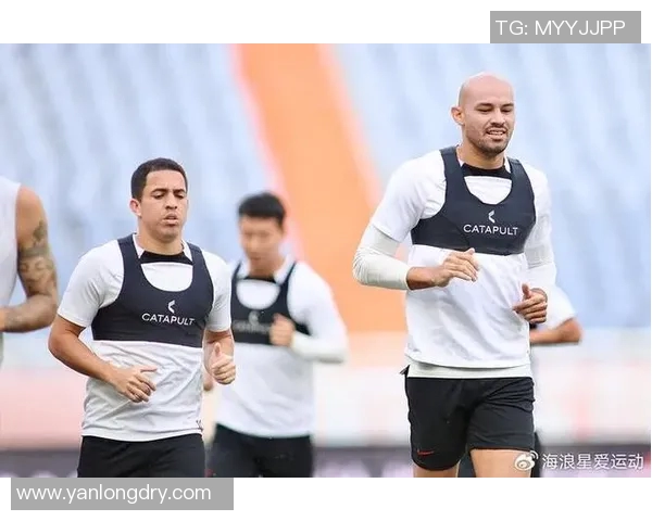 足球明星的肌肉身材揭秘如何塑造完美体型与运动表现的关系