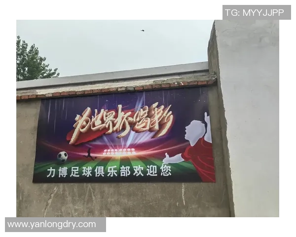 追随足球明星的脚步，感受绿茵场上的激情与梦想